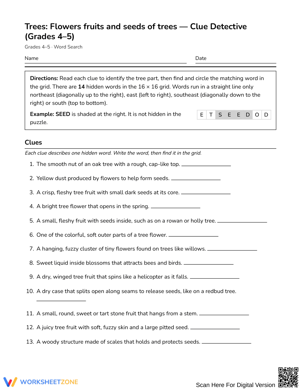 Ready Tree Flowers & Seeds Word Search | Grades 4–5 Science - Page 1