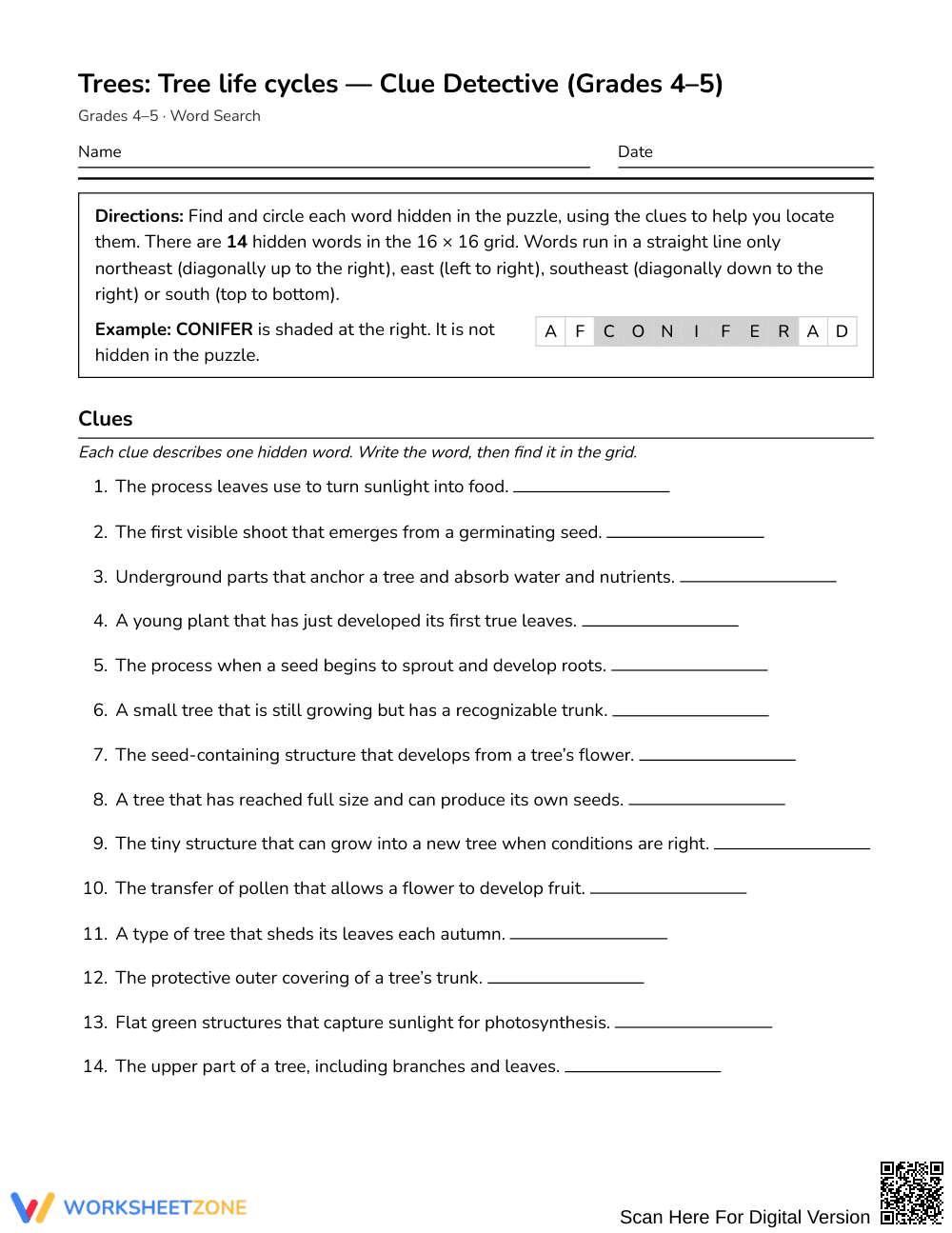 Essential Tree Life Cycles Word Search | Grades 4–5 Science - Page 1