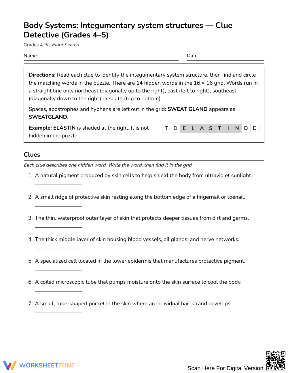 Essential Integumentary Word Search | Grades 4–5 Science - Page 1