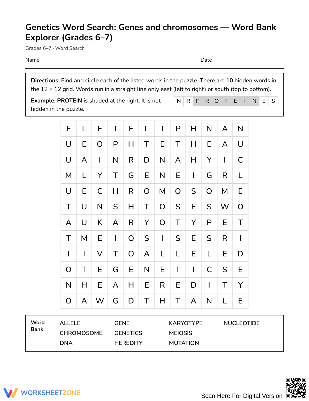 Printable Genetics Word Search | Grades 6–7 Science - Page 1