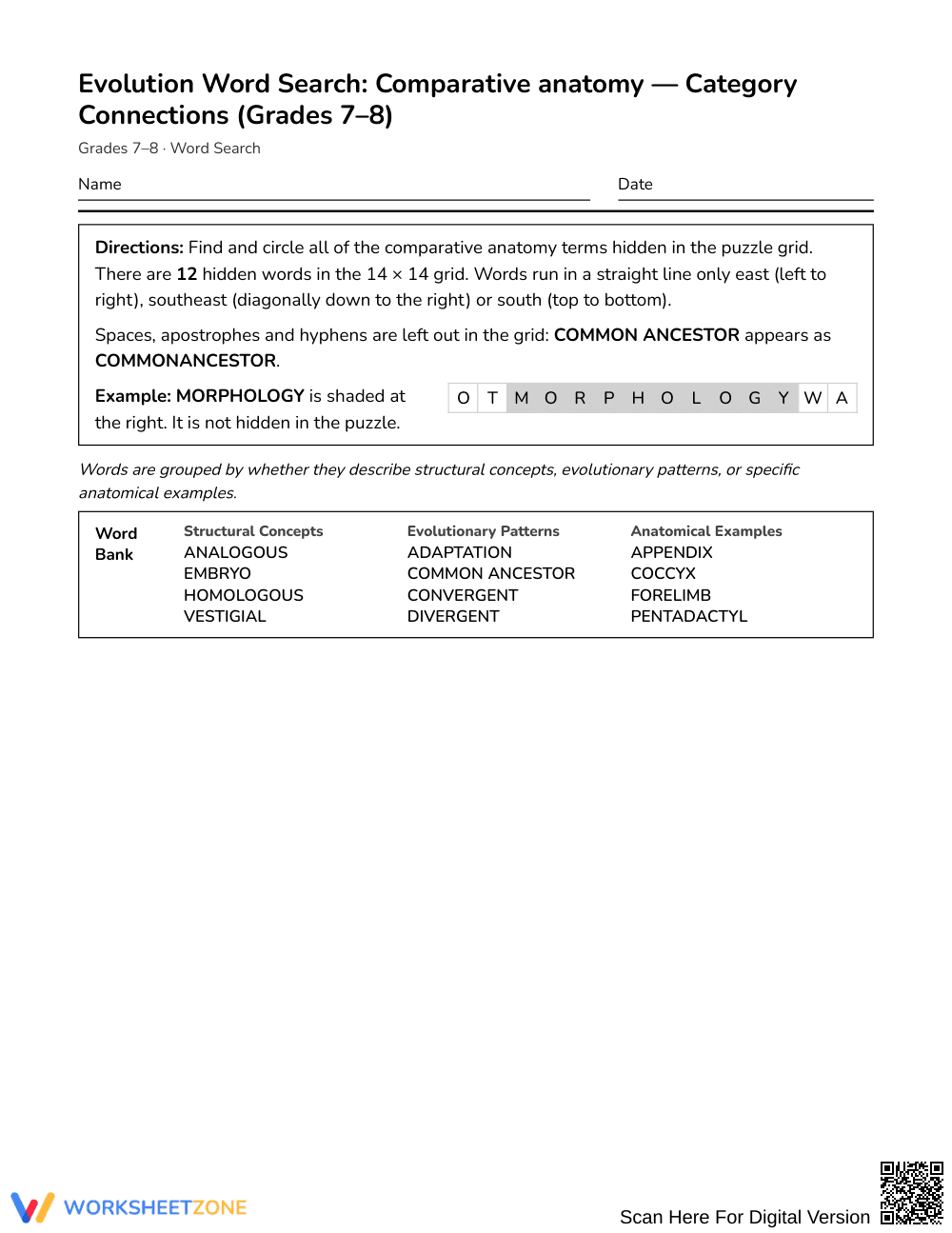 Printable Anatomy Word Search | Grades 7–8 Science - Page 1