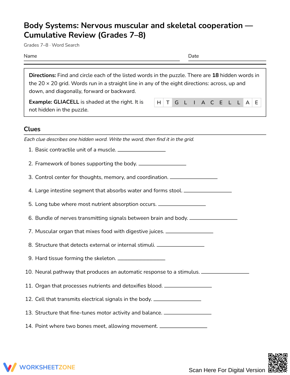 Complete Body Systems Word Search | Grades 7–8 Science - Page 1