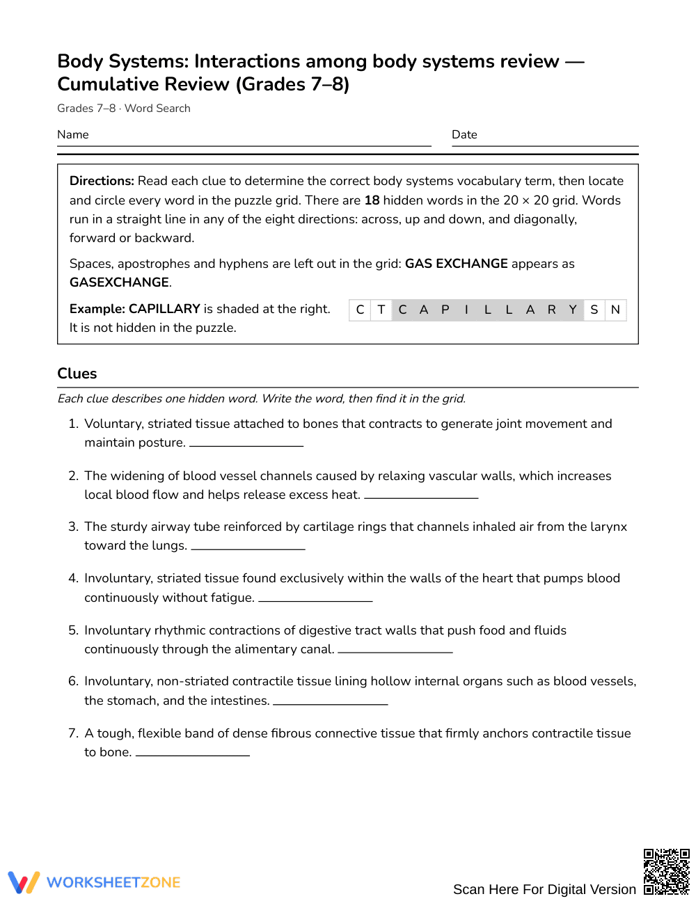 Essential Body Systems Word Search | Grades 7–8 Science - Page 1