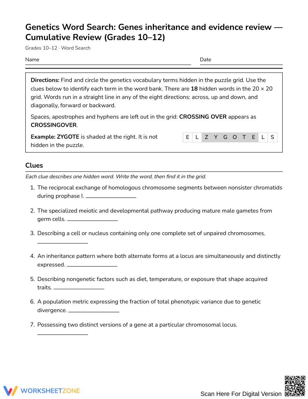 Essential Genetics Word Search | Grades 10–12 Science - Page 1