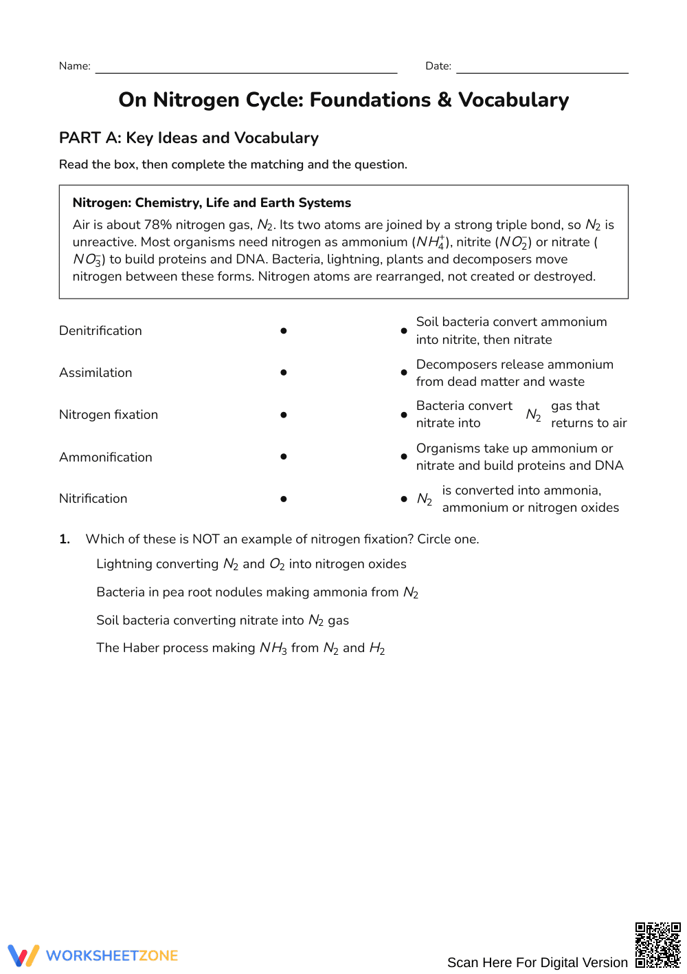 Essential Nitrogen Cycle Worksheet | Grades 9-12 Science - Page 1