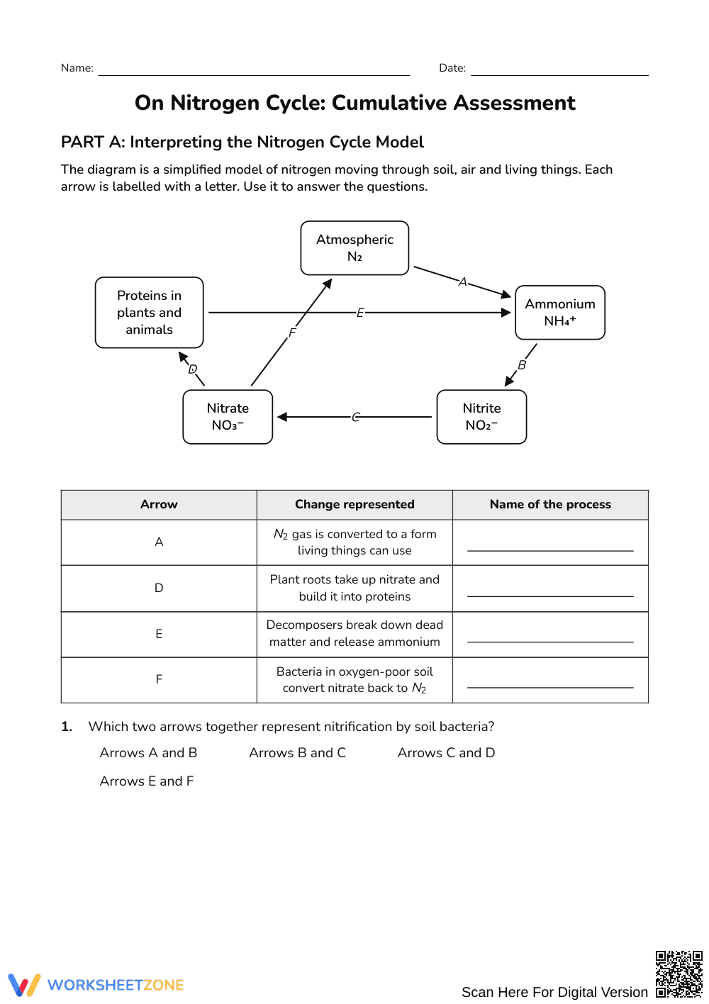 Complete Nitrogen Cycle Worksheet | Grade 9-12 Science - Page 1