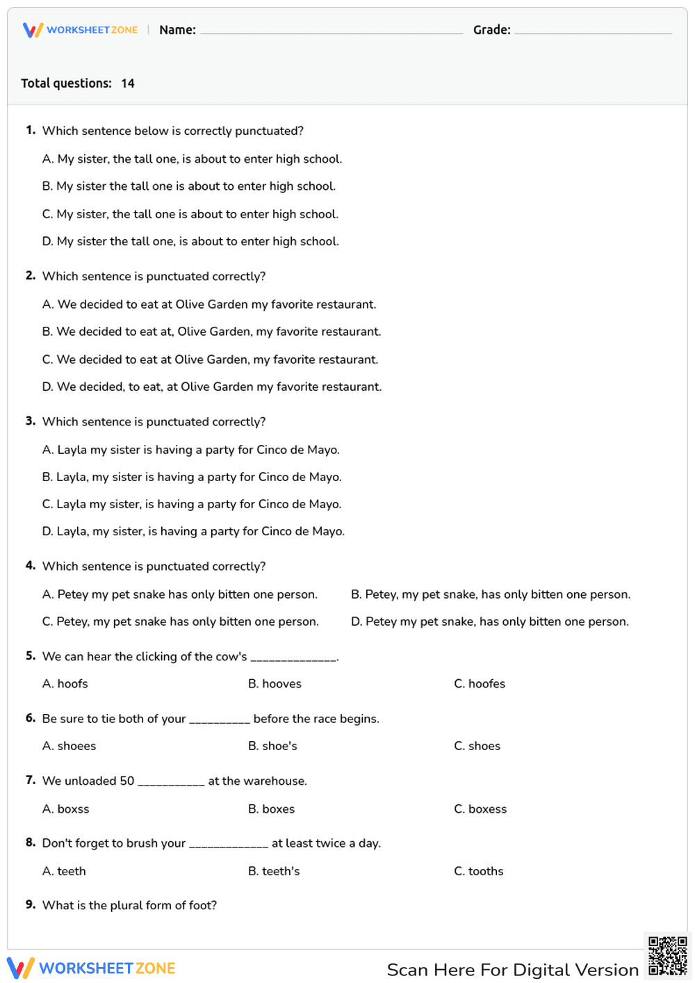 Grammar Skills: Punctuation and Plural Forms - Page 1