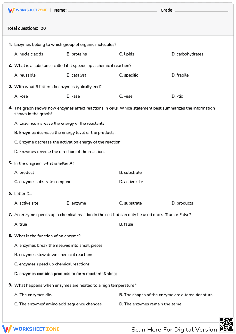 Biology Enzyme Worksheet | Grade 9-10 Essential - Page 1