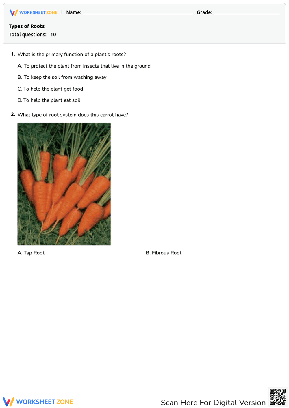Types of Roots Worksheet | Grade 1-3 Essential Science - Page 1