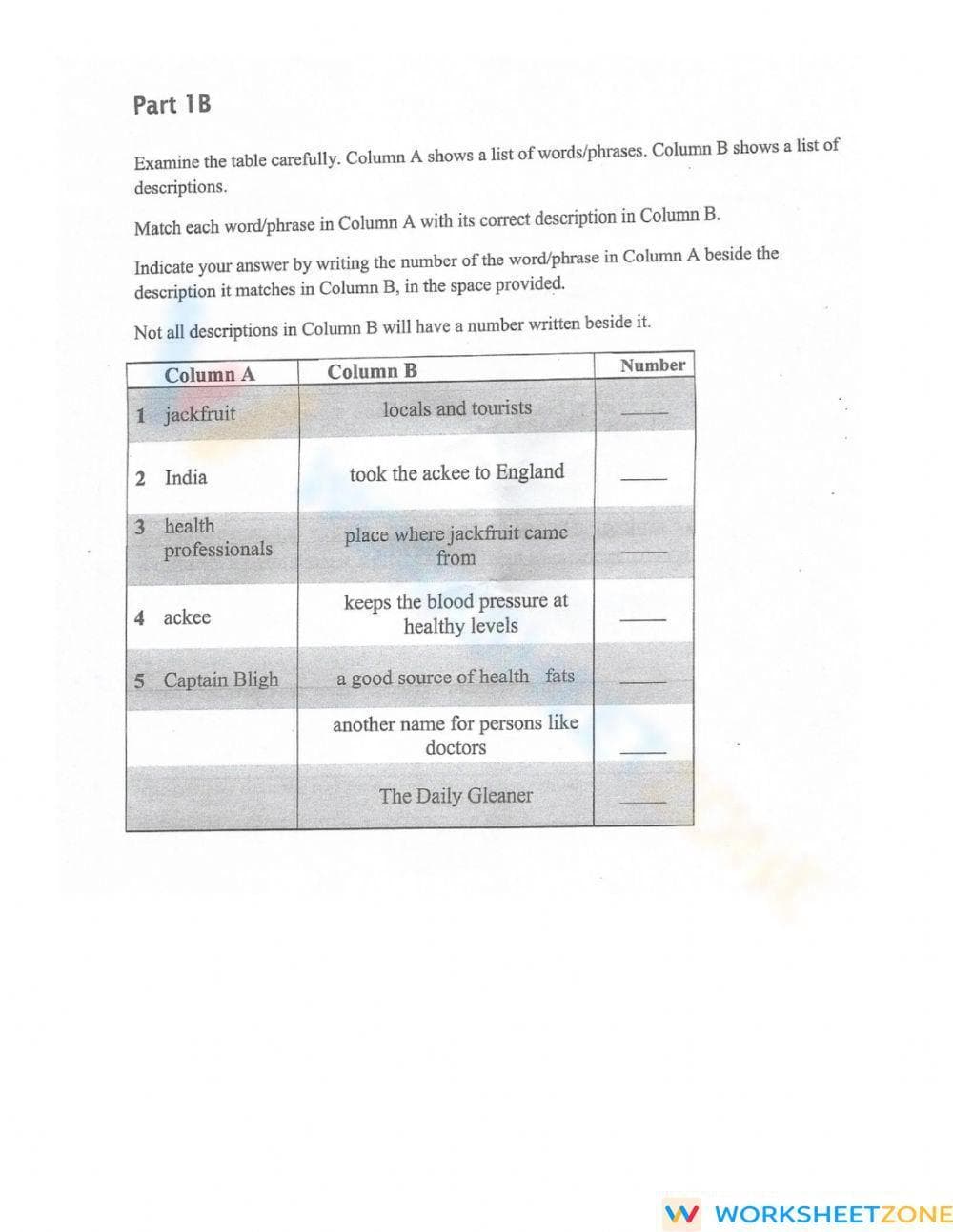 RI.5.1 Worksheet: ELA Performance Task - Grade 5 Aligned - Page 4