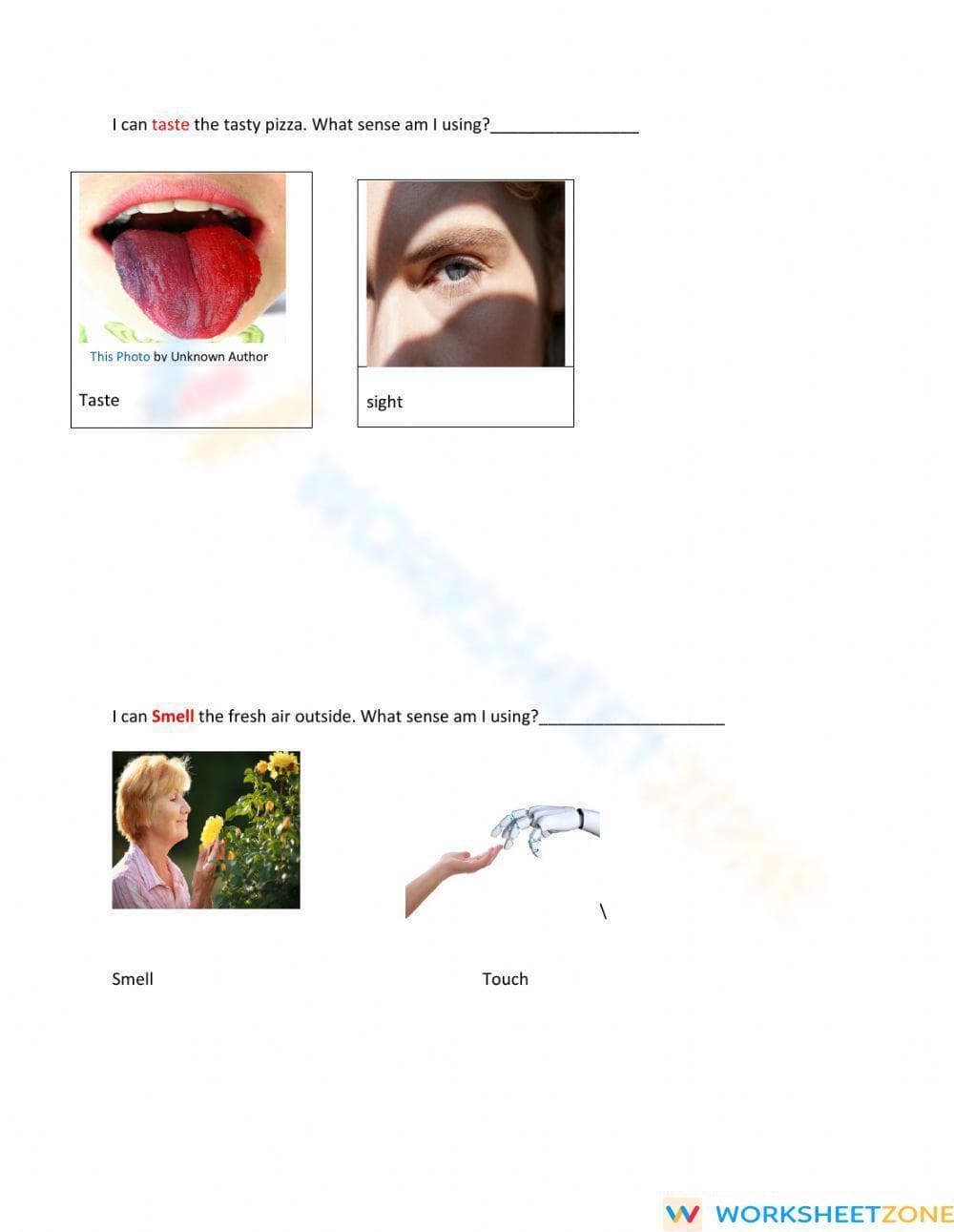 Printable Five Senses Poetry Worksheet | Grade K-1 ELA - Page 2