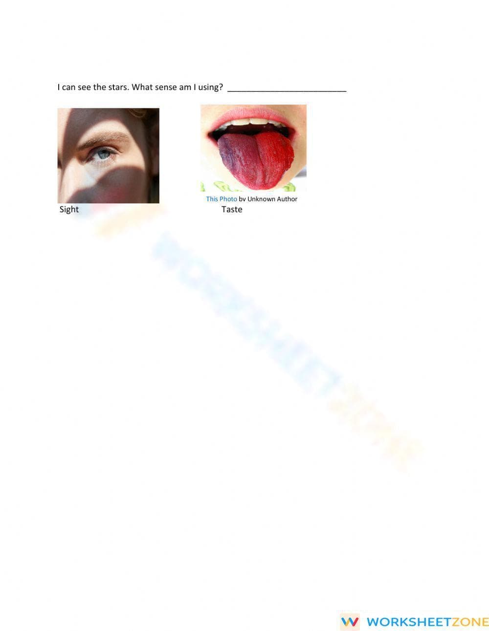 Printable Five Senses Poetry Worksheet | Grade K-1 ELA - Page 3