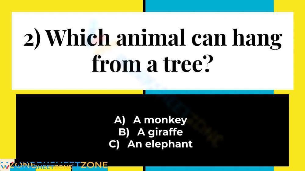 Printable What Is at the Zoo? Reading Worksheet | Grade 1 - Page 2