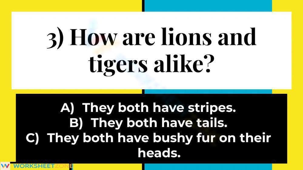 Printable What Is at the Zoo? Reading Worksheet | Grade 1 - Page 3