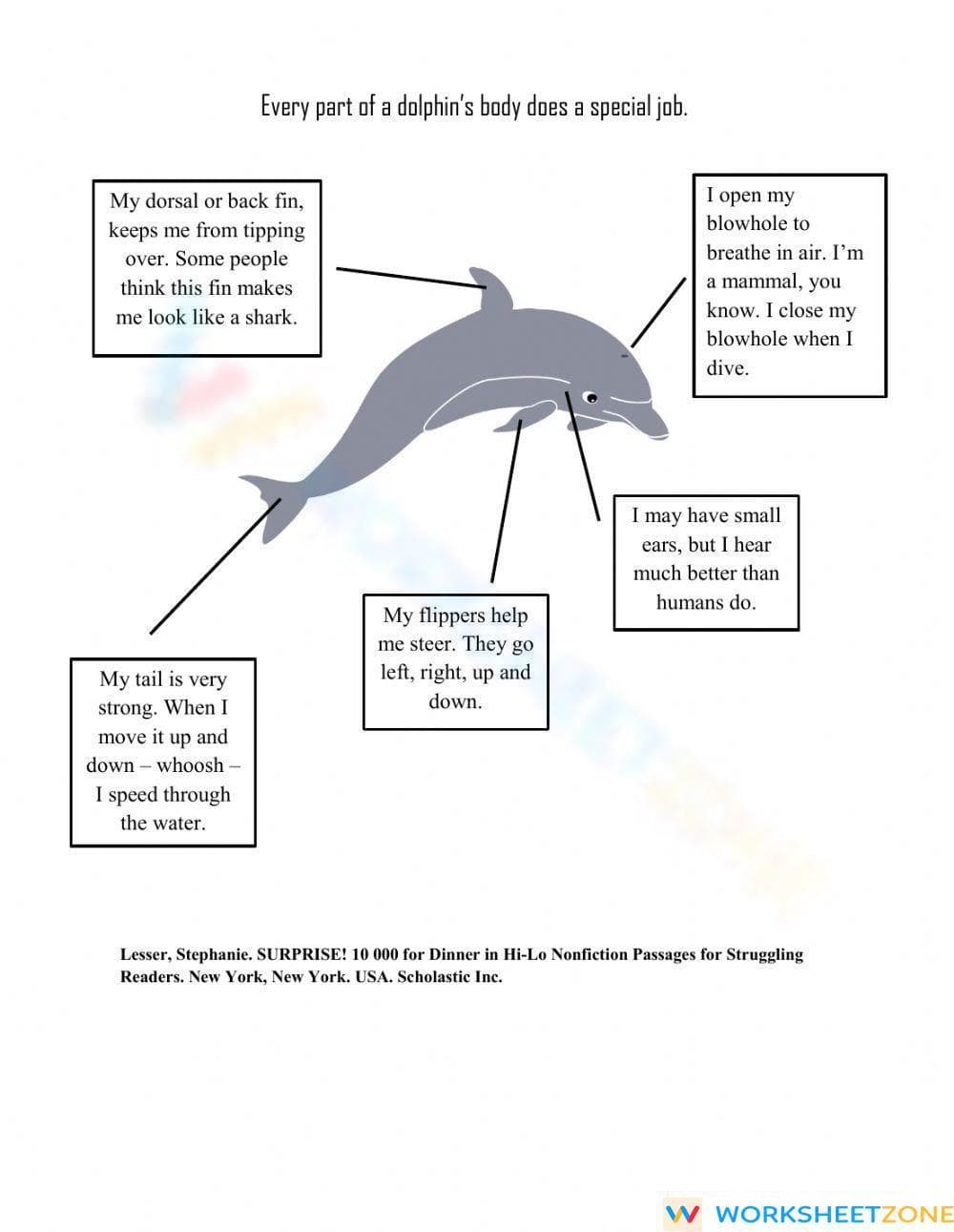 CCSS RI.4.2 Worksheet: Main Idea & Details — Grade 4 Aligned - Page 5