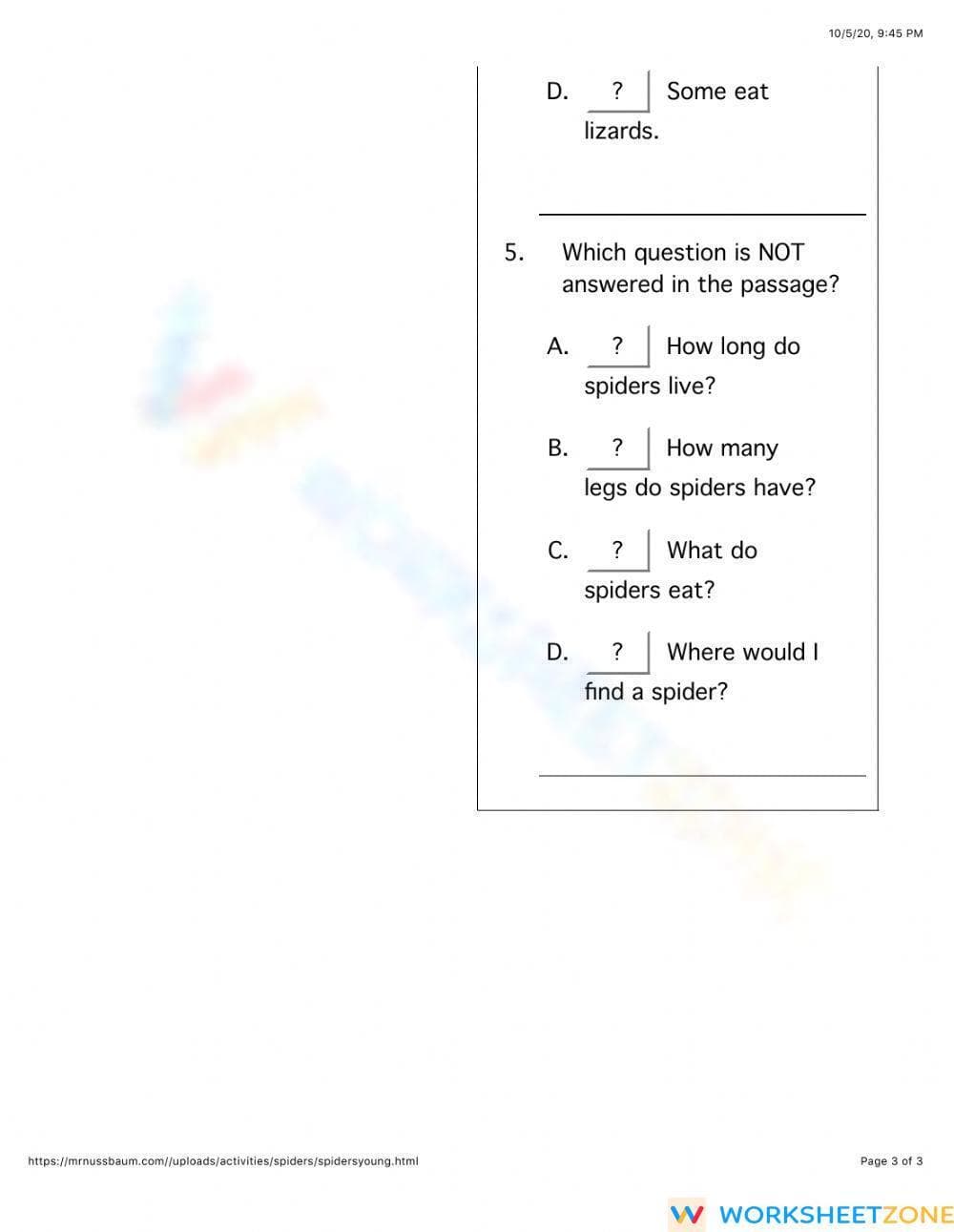 Grade 4 Spiders — Printable No-Prep Worksheet - Page 3