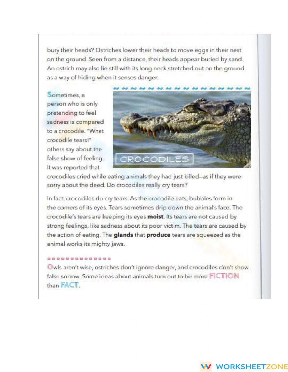 Animal Fact vs. Fiction Worksheet | Grade 5 Essential - Page 2