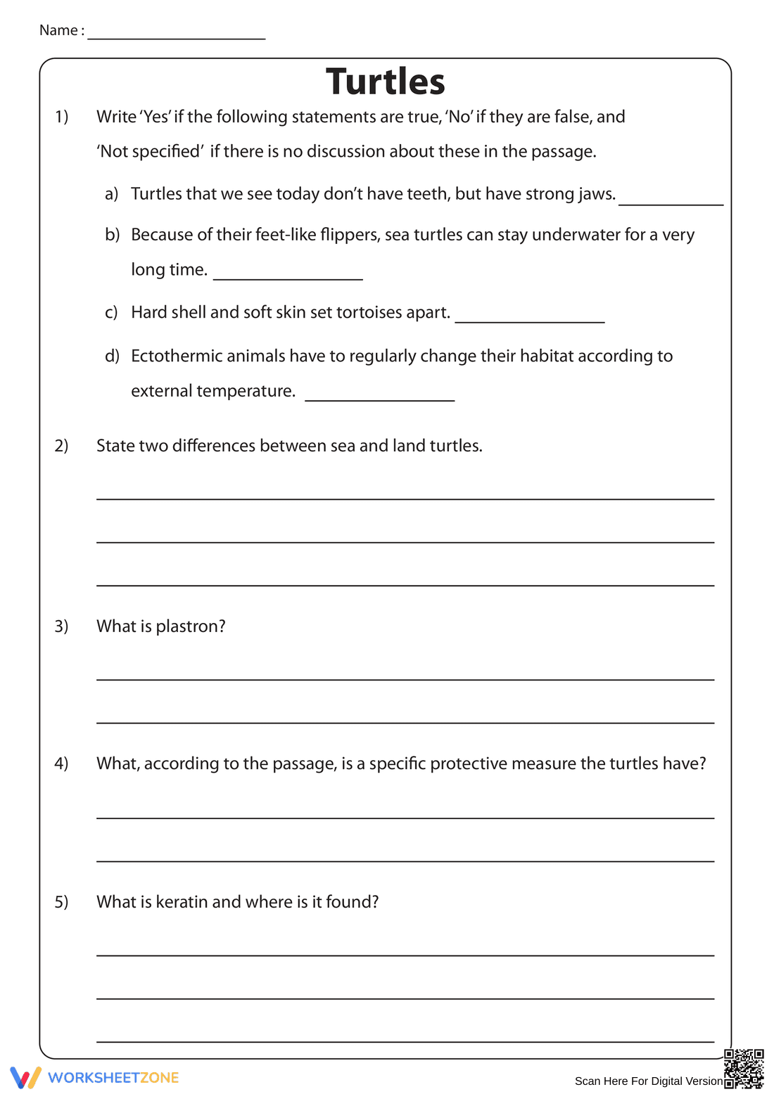 Non-Fiction Reading About Turtles - Page 3