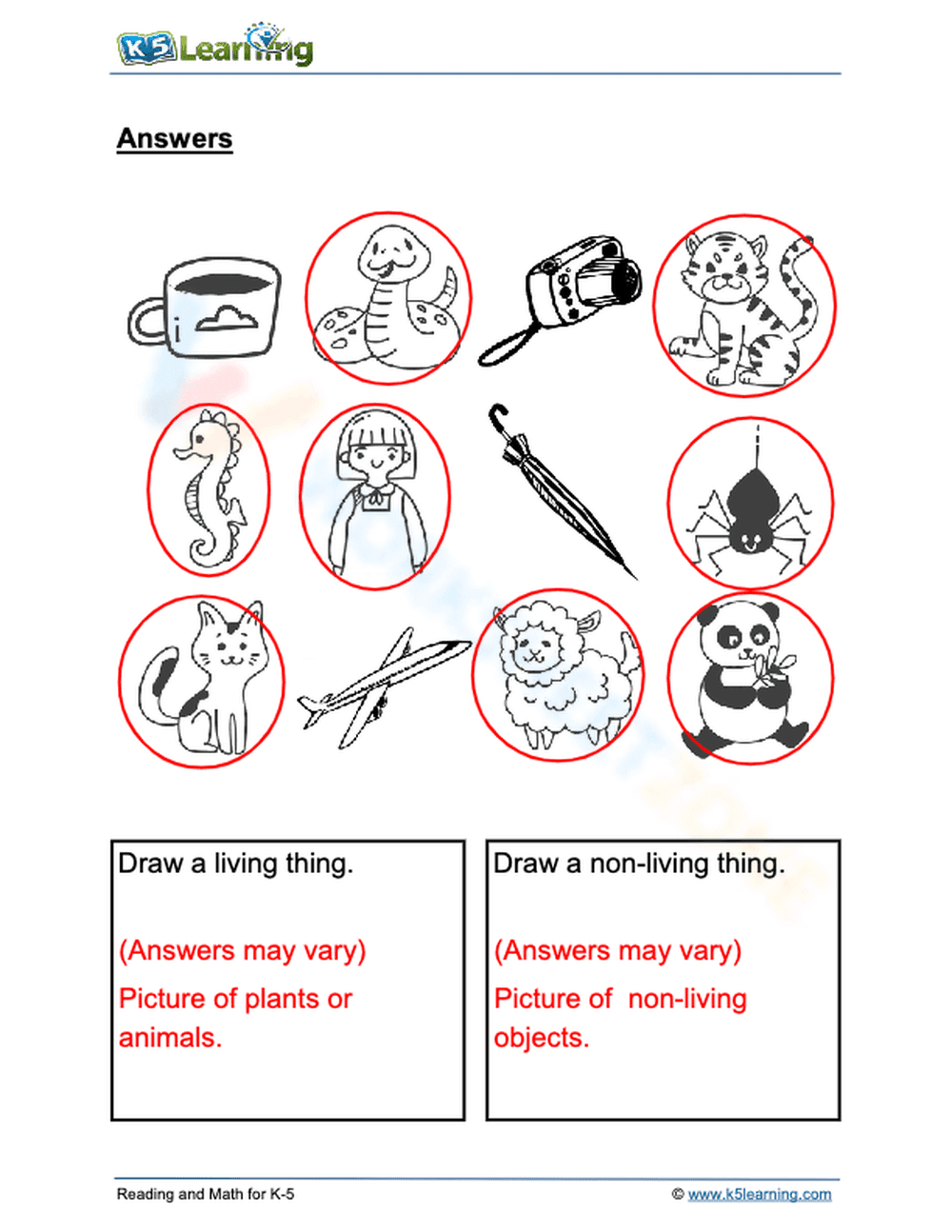 Essential Living Things Worksheet | Grade 1 Science - Page 2