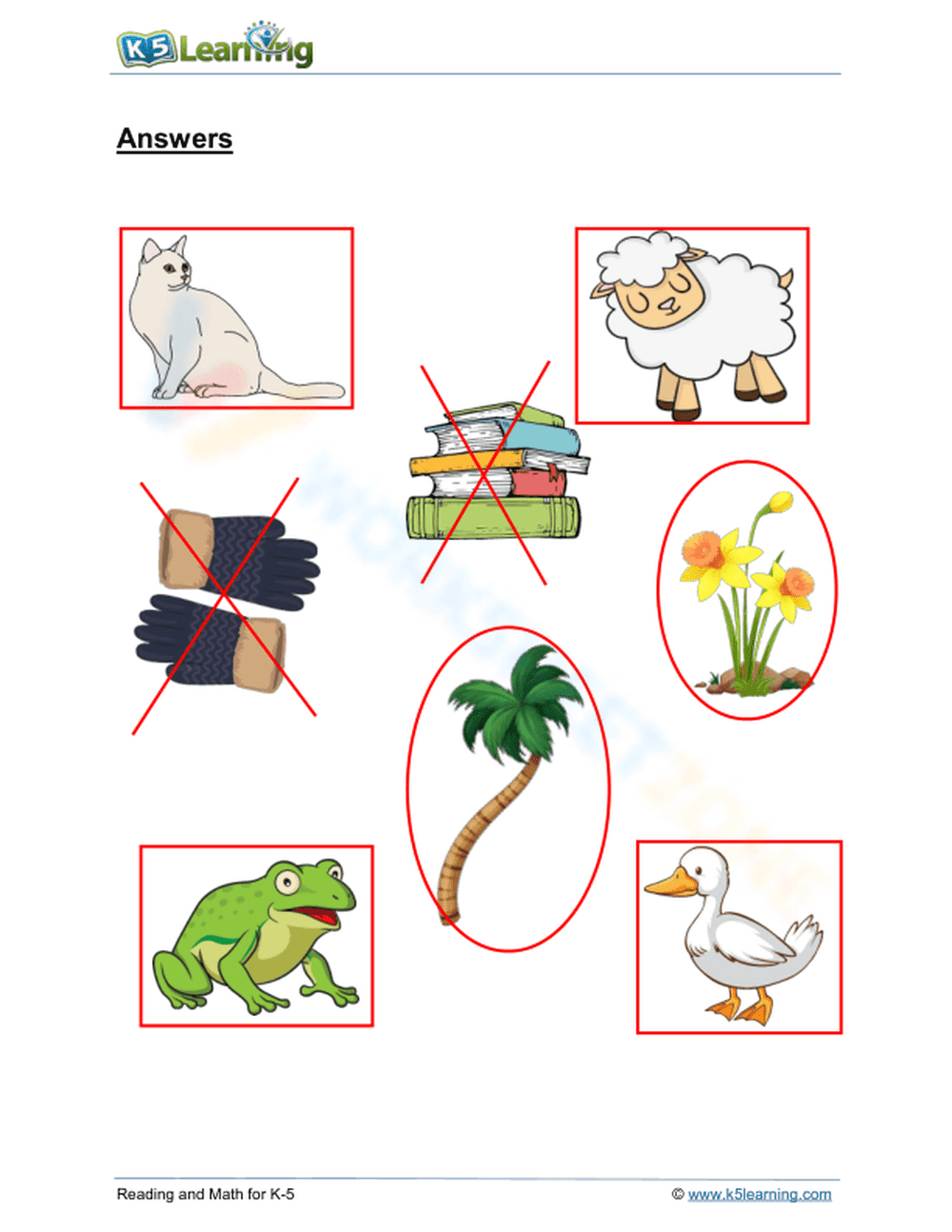 Grade 1 Plant, Animal or Thing? Essential No-Prep Worksheet - Page 2