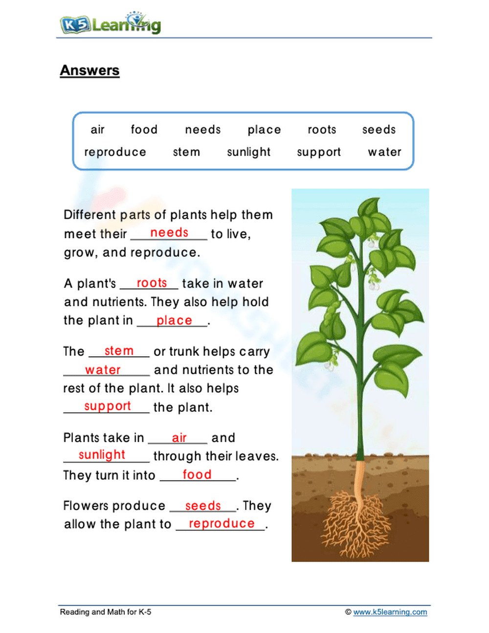 Understanding the Needs of Plants - Page 2
