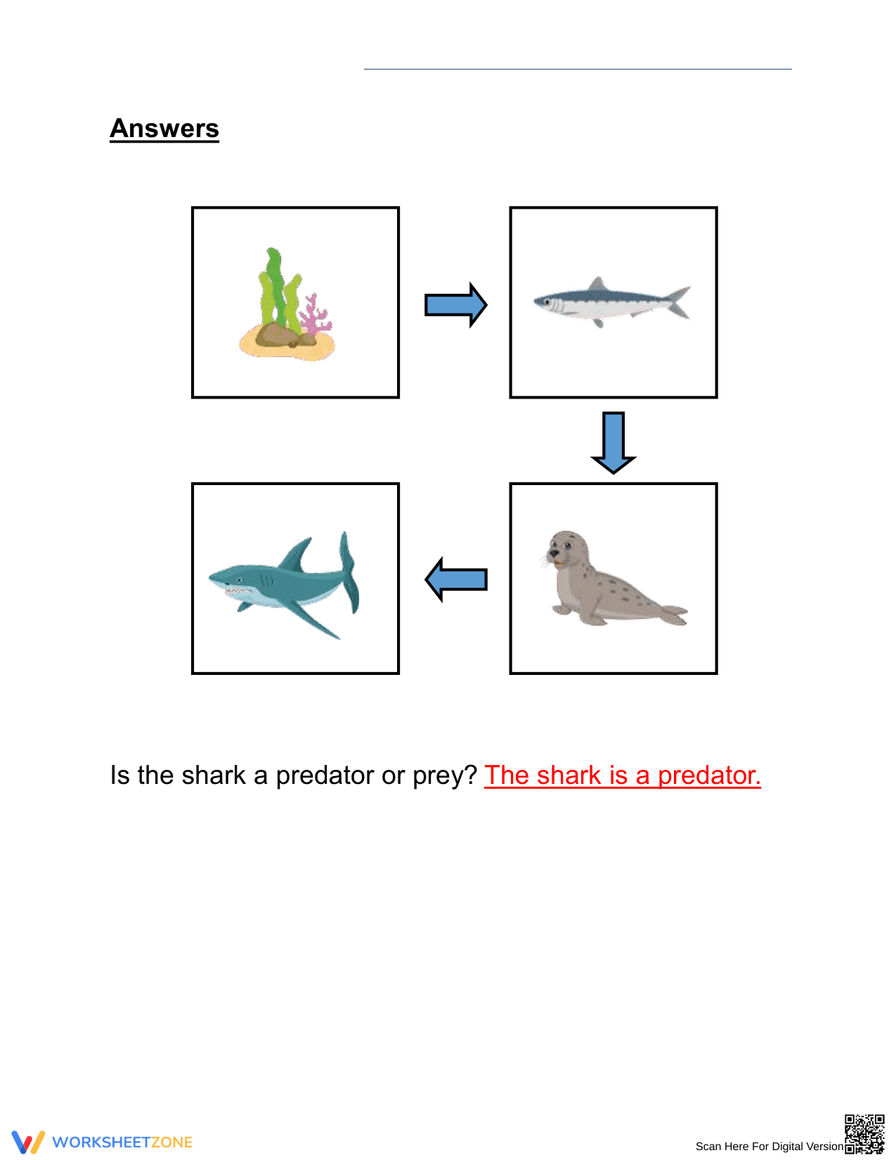 Food Chains in the Water Worksheet for Grade 2 - Page 2