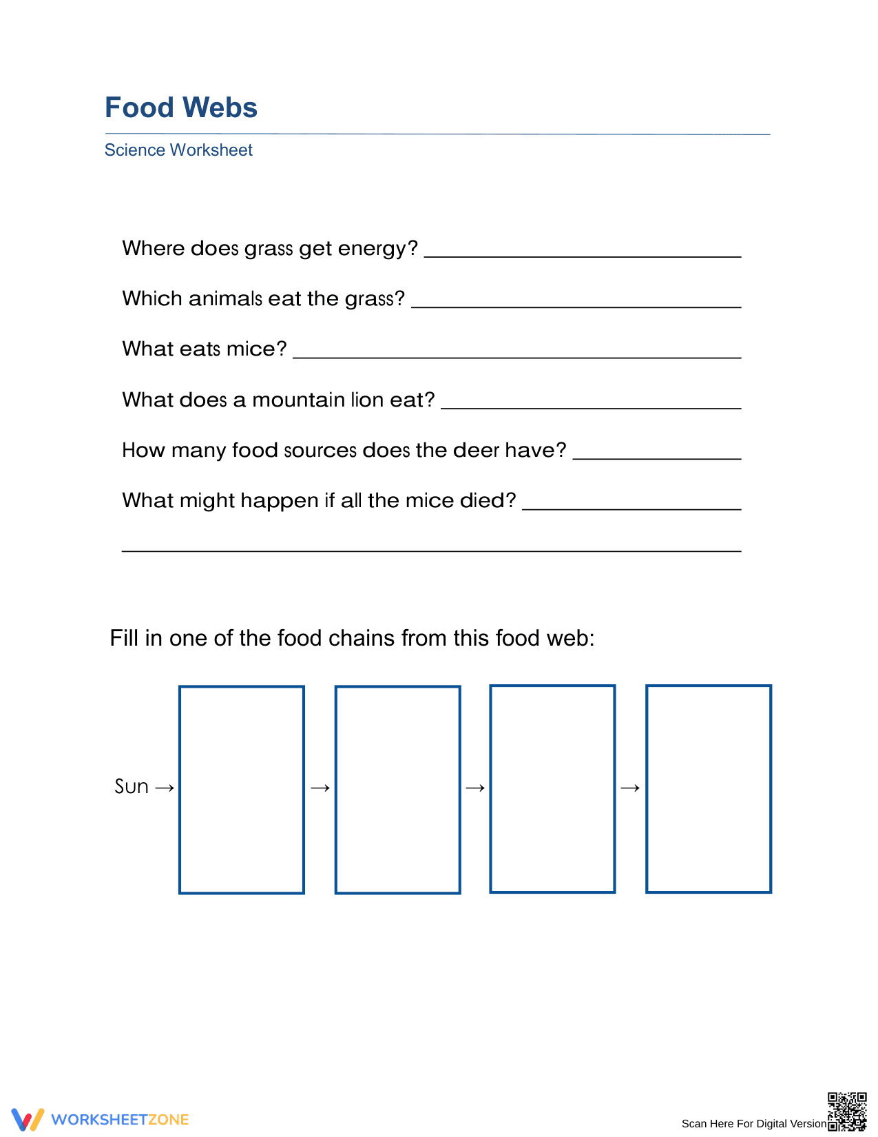 Essential Food Webs Worksheet | Grade 3 Science Aligned - Page 2