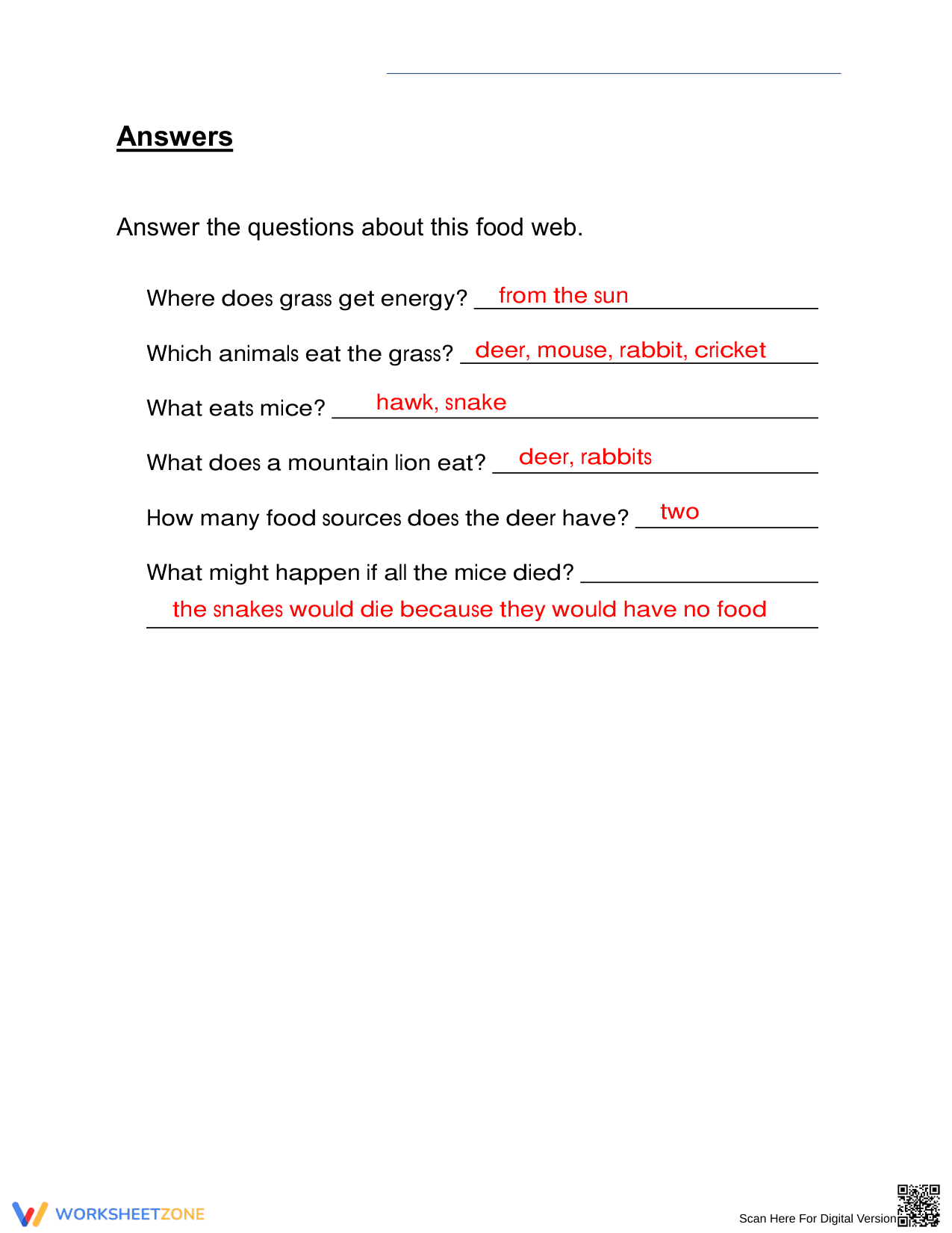 Essential Food Webs Worksheet | Grade 3 Science Aligned - Page 3