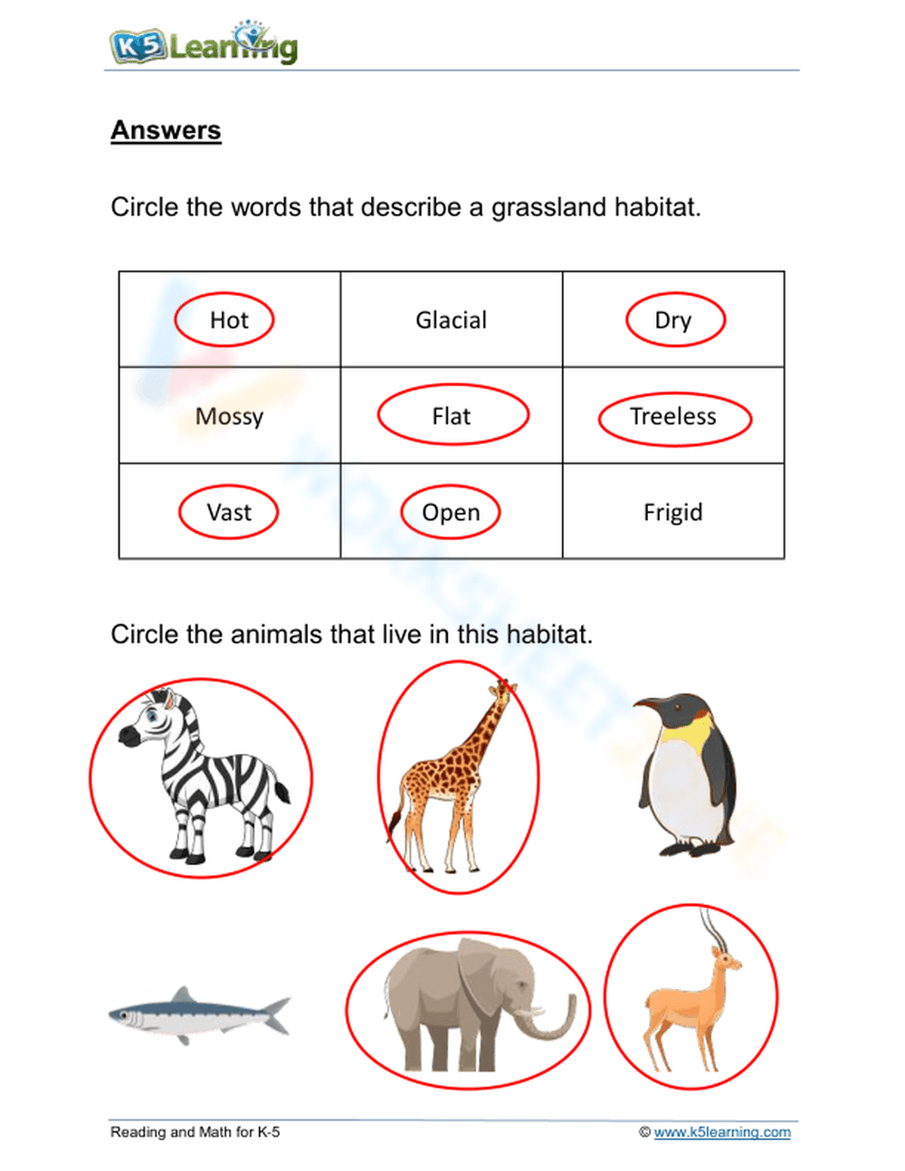 Essential Grassland Habitat Worksheet | Grade 2 Science - Page 2