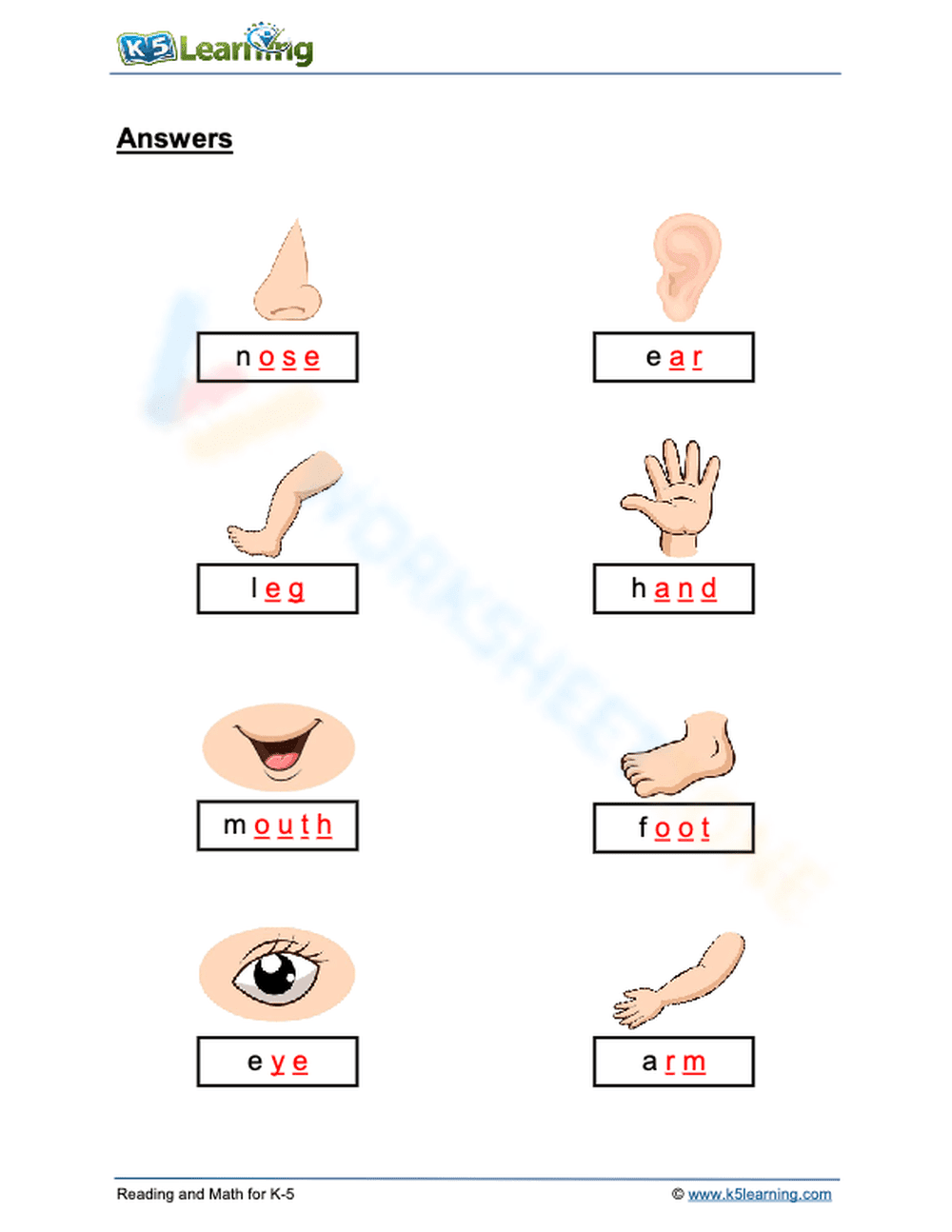 Essential Parts of the Body Worksheet | Grade K Science - Page 2