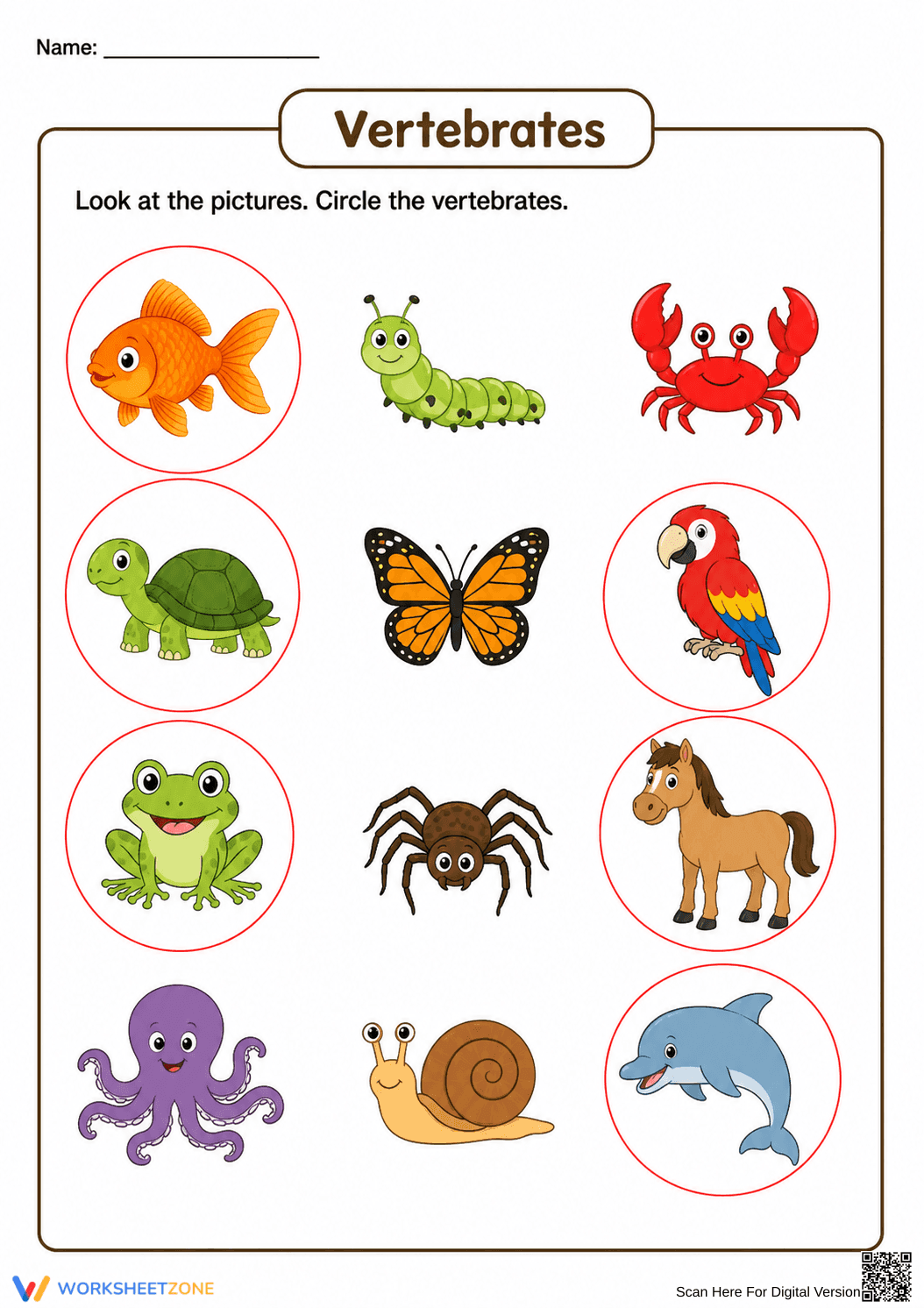 Essential Vertebrates Worksheet | Grade 2-4 Printable - Page 2