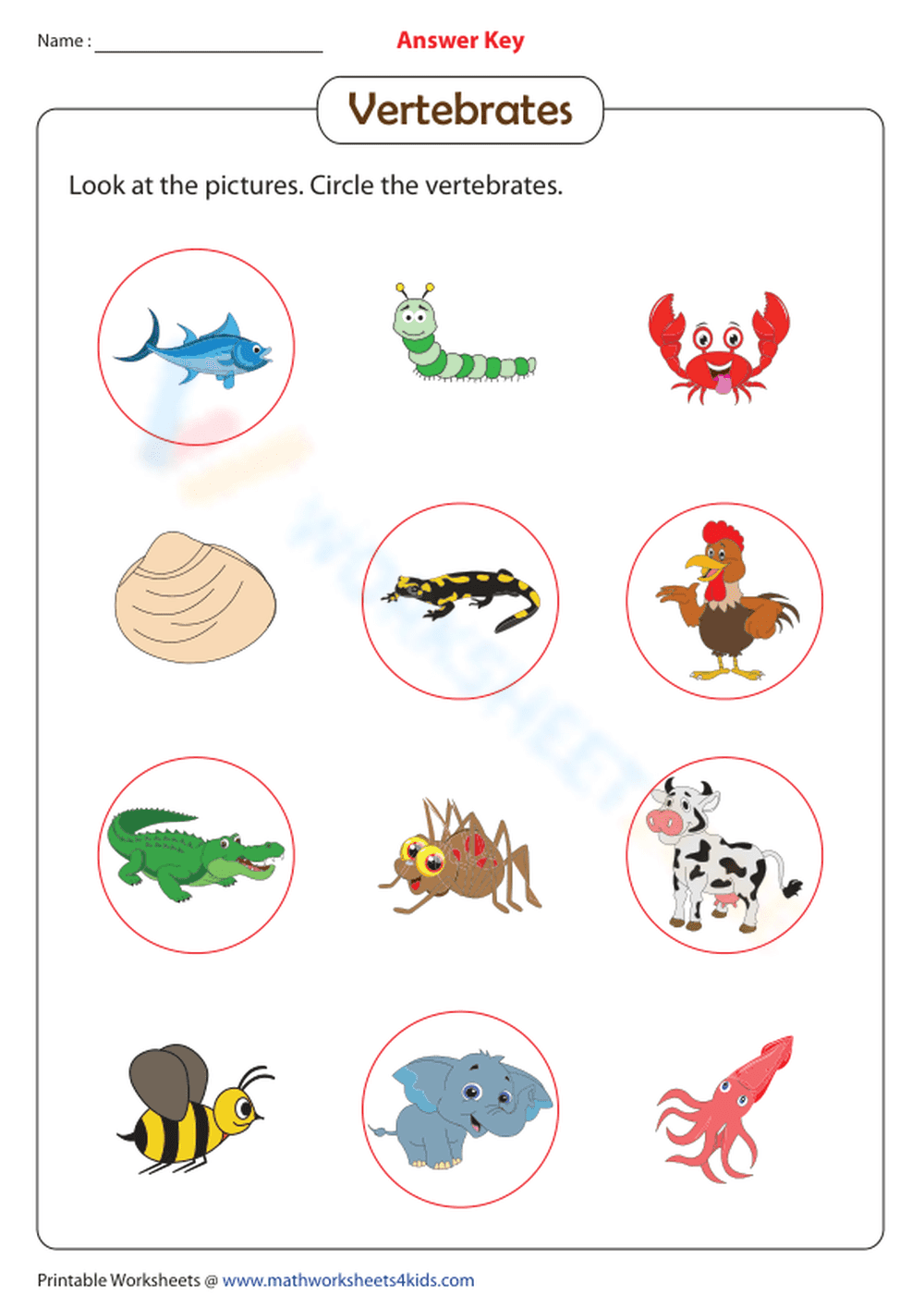 Essential Vertebrates Worksheet | Grade 2-4 Printable - Page 2