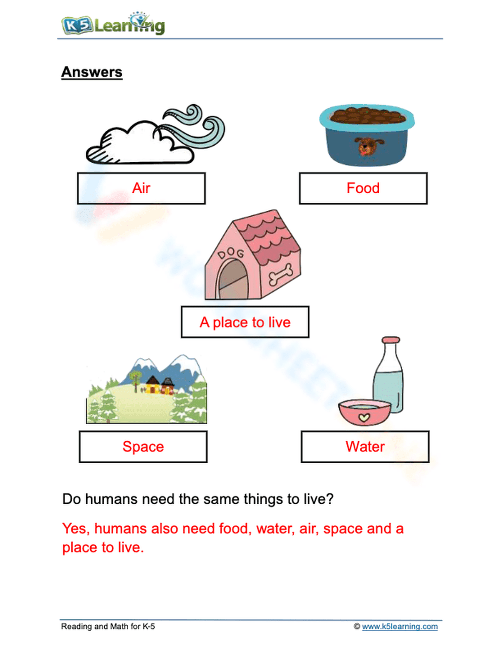 Essential Needs of Animals Worksheet | Grade 1 Science - Page 2