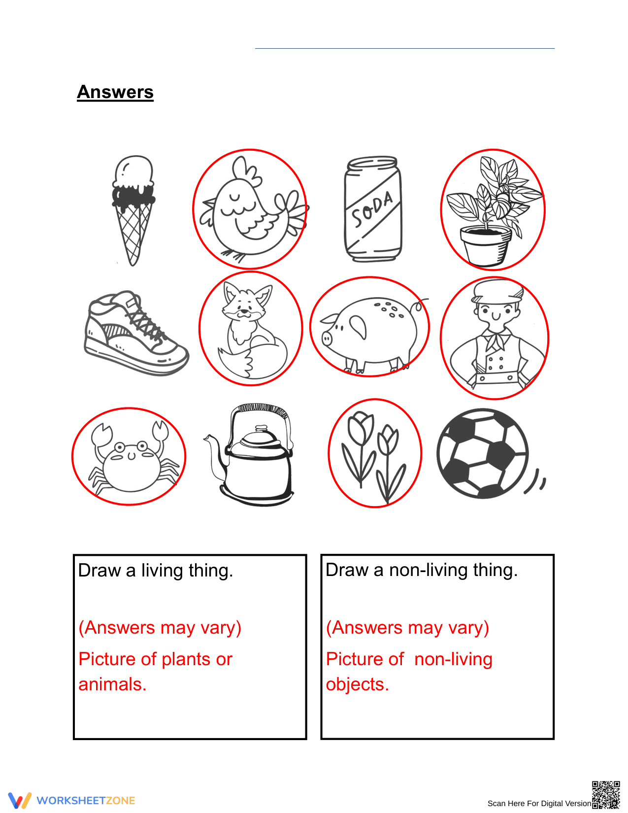 Essential Living and Non-Living Things Worksheet | Grade 1 - Page 2