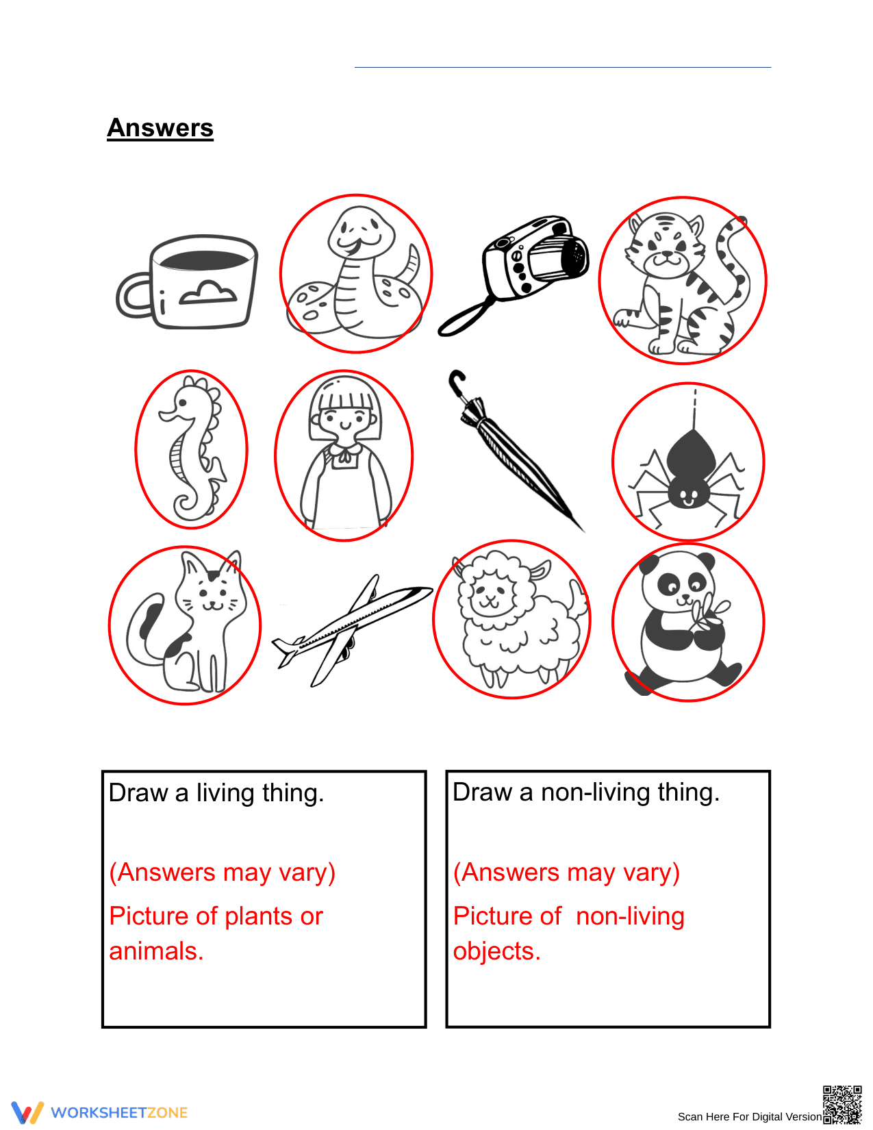 Essential Grade 1 Living and Non-living Things Worksheet - Page 2