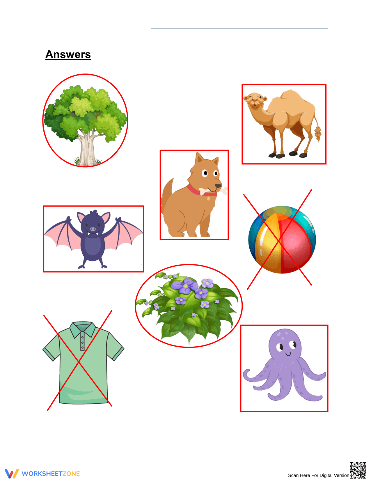 Essential Grade 1 Plants, Animals & Non-Living Things WS - Page 2