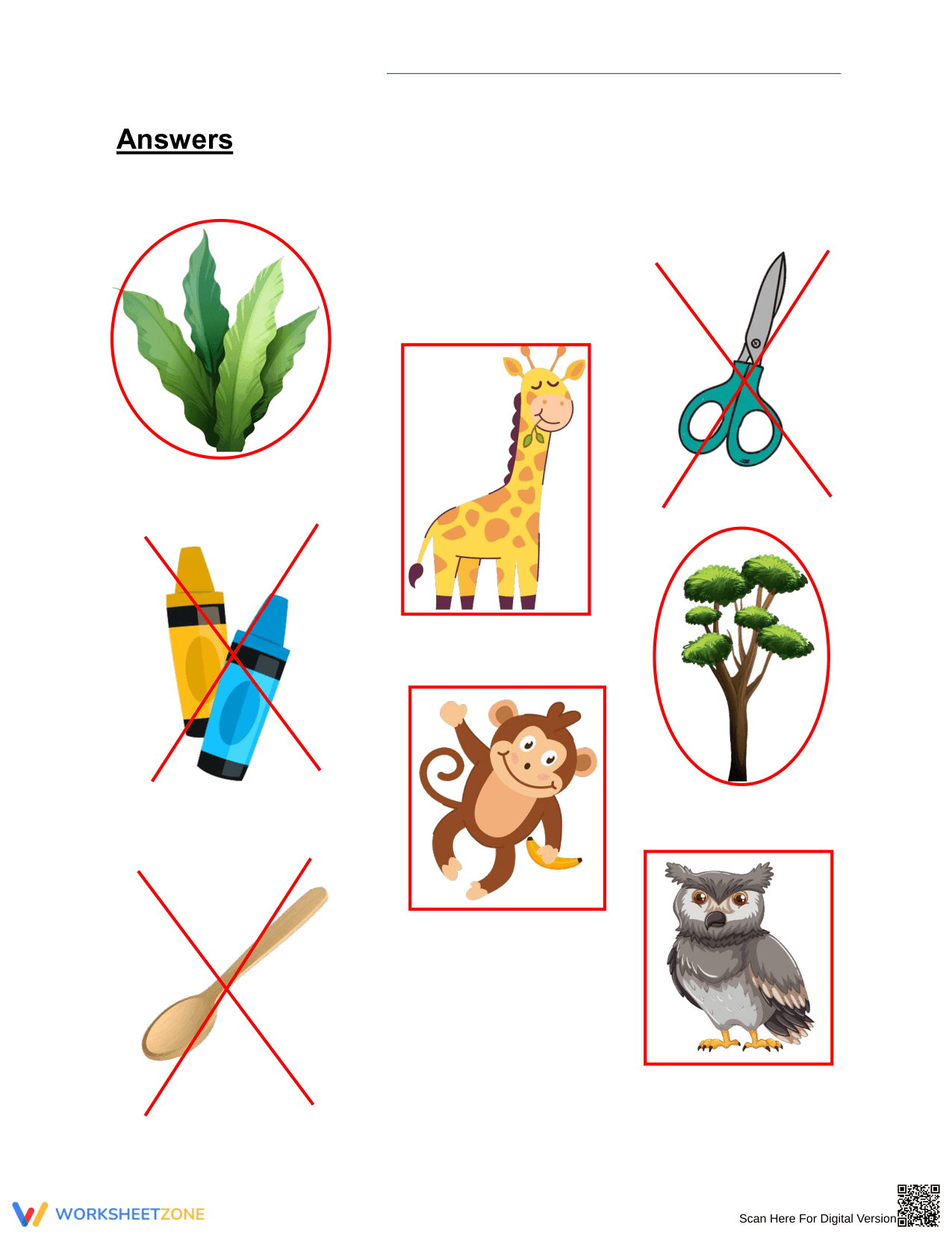 Essential Grade 1 Living and Non-Living Things Worksheet - Page 2