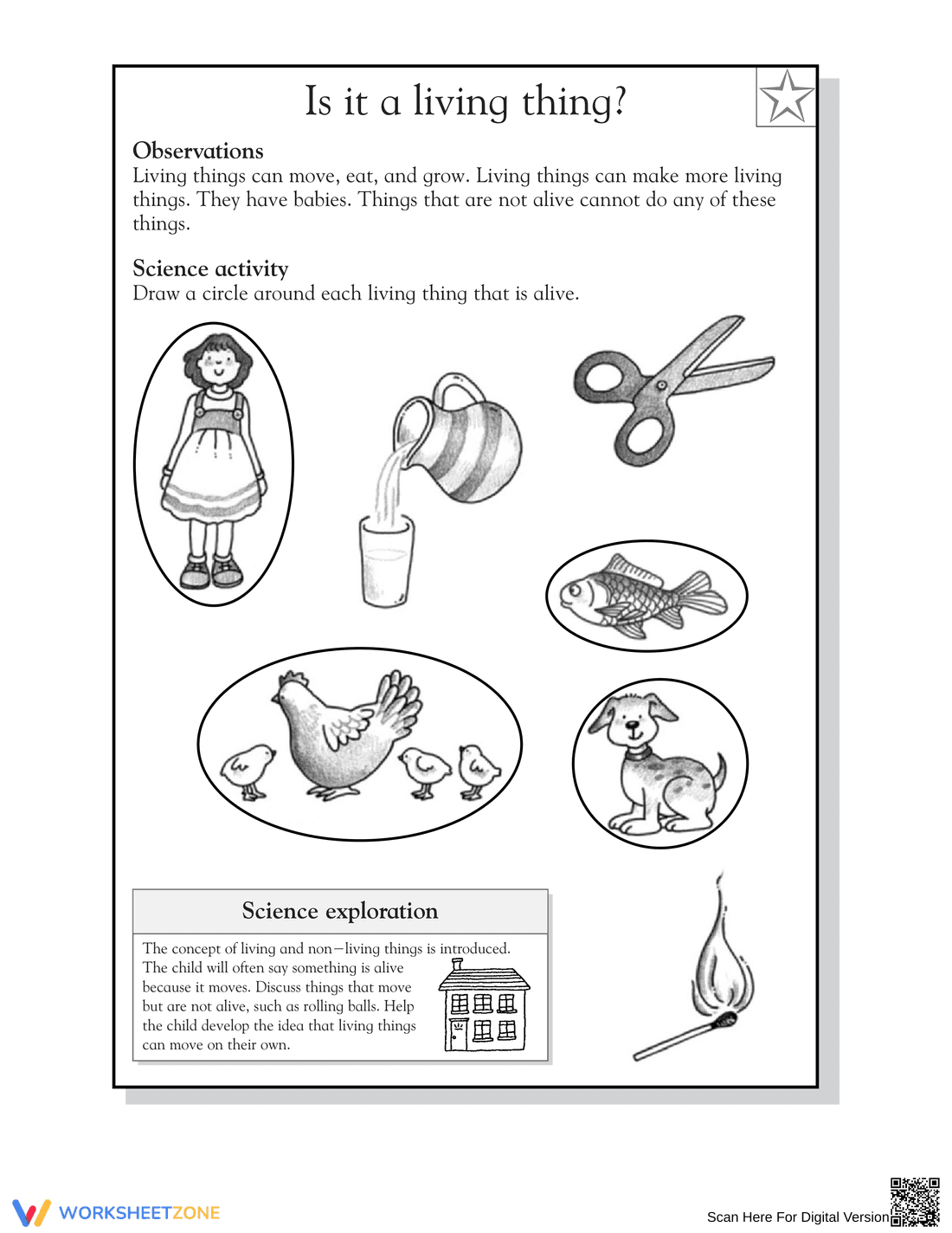 Essential Grade 1 Living Things — No-Prep Science Worksheet - Page 2