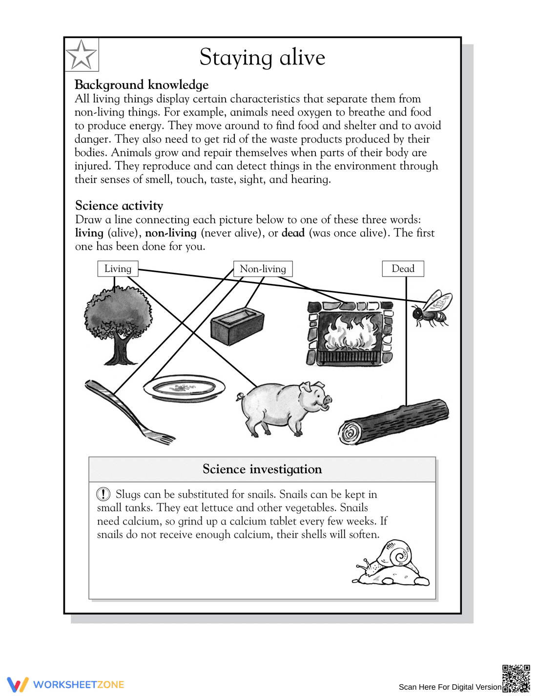 Grade 5 Living or Non-Living — Essential No-Prep Worksheet - Page 2