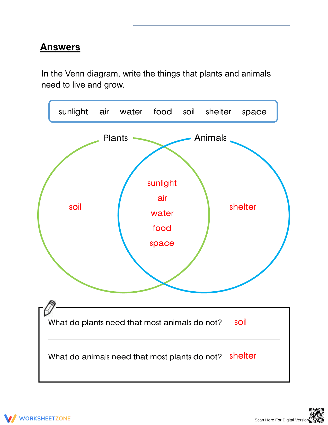Essential Basic Needs of Living Things Worksheet | Grade 3 - Page 2