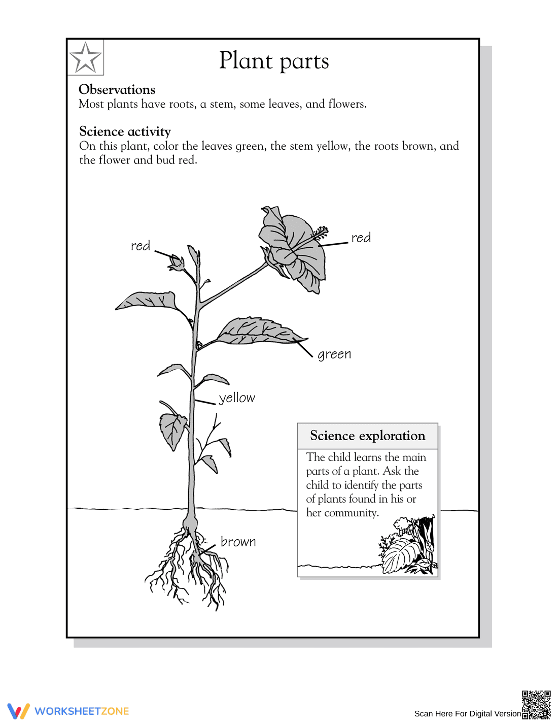 Essential Plant Parts Worksheet | Grade 1-2 Science - Page 2
