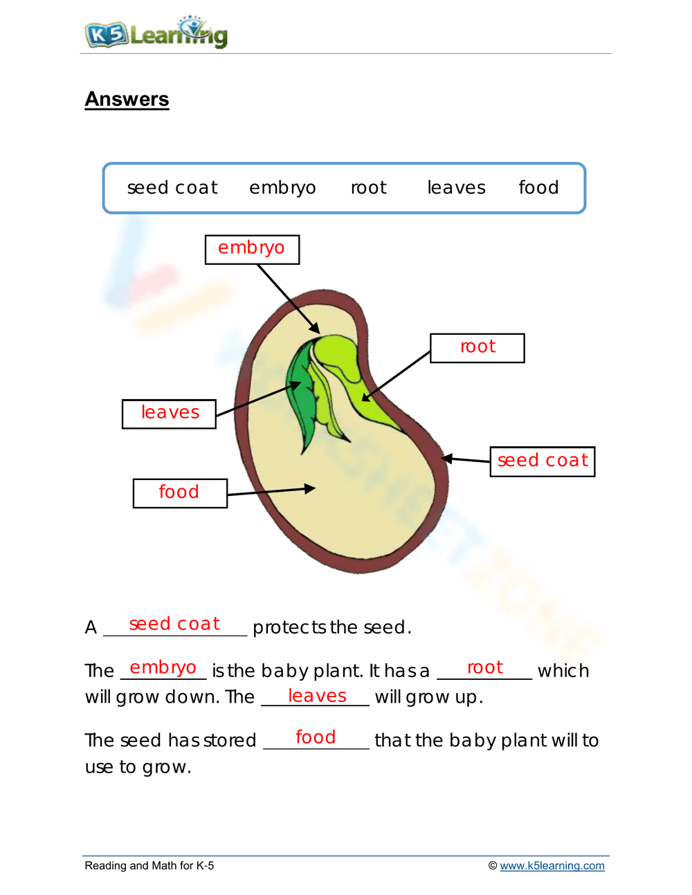 Grade 3 Parts of a Seed — Essential Printable Worksheet - Page 2