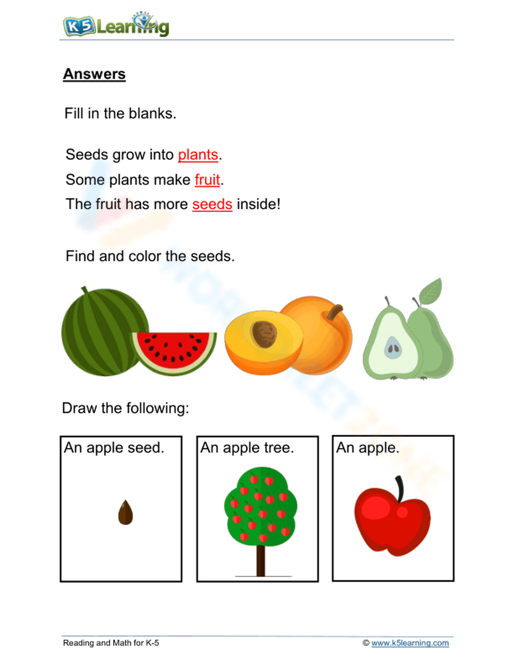 Essential Apple Plant Life Cycle Worksheet | Grade 1 - Page 2