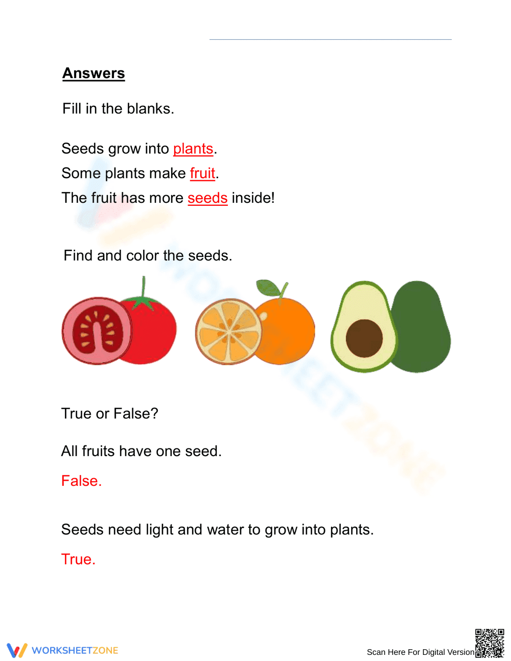 Grade 2 Plant Seeds — Essential Printable No-Prep Worksheet - Page 2