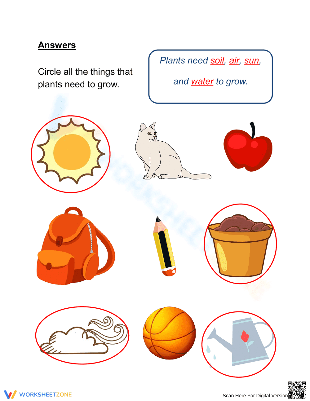 Grade 1 Needs of Plants — Printable No-Prep Worksheet - Page 2