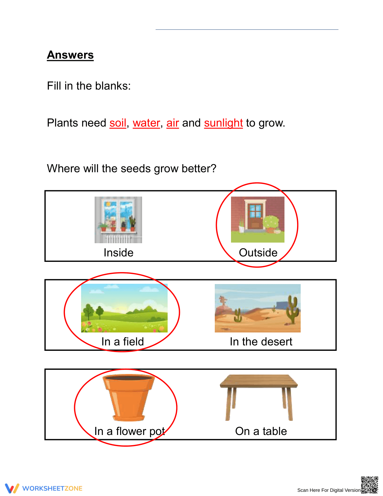 Essential Grade 2 Science: What Plants Need to Grow - Page 2