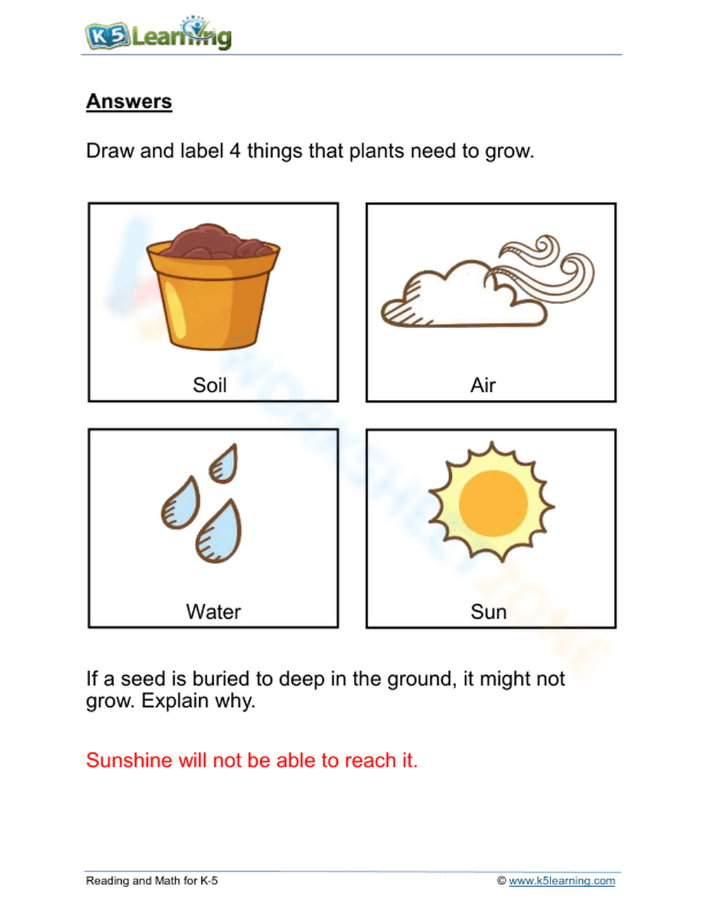 Plant Growth Essentials Drawing and Labeling Activity - Page 2