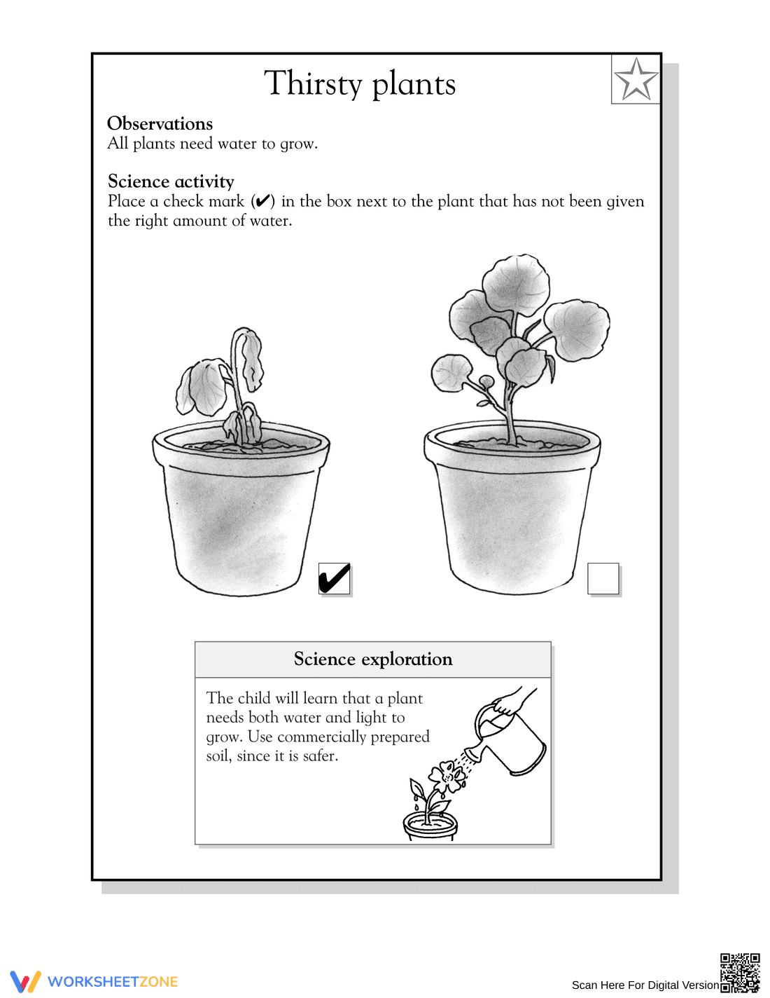 Grade 1 Plant Needs — Printable No-Prep Worksheet - Page 2