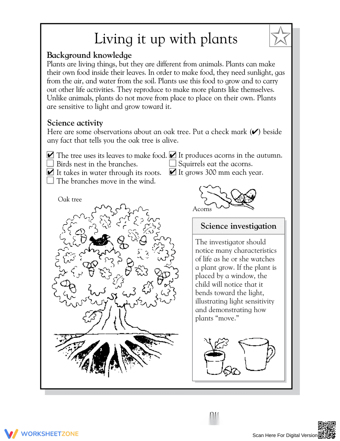 Grade 3 Plants — Printable Essential No-Prep Worksheet - Page 2