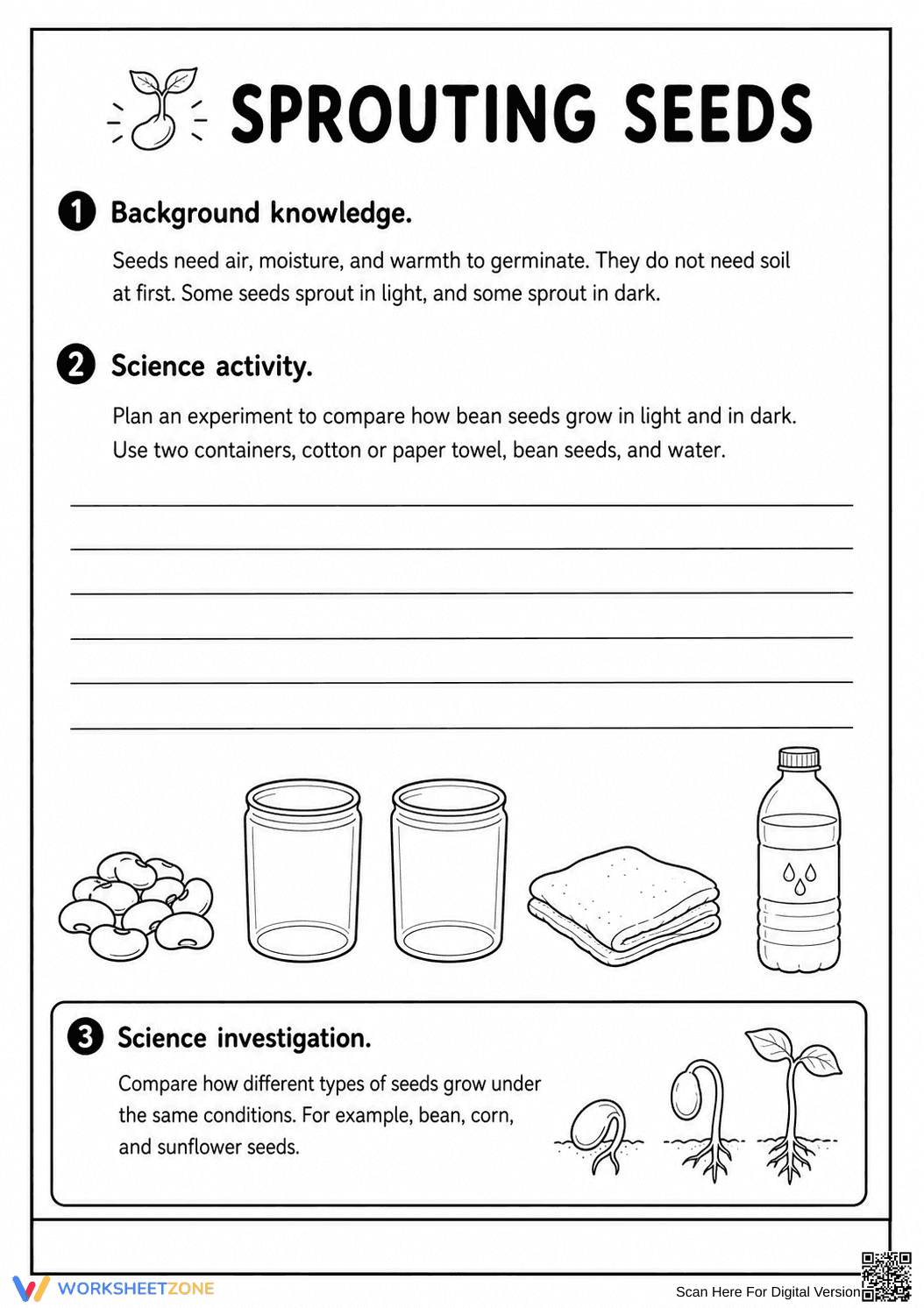Grade 5 Seed Germination — Printable No-Prep Worksheet - Page 2
